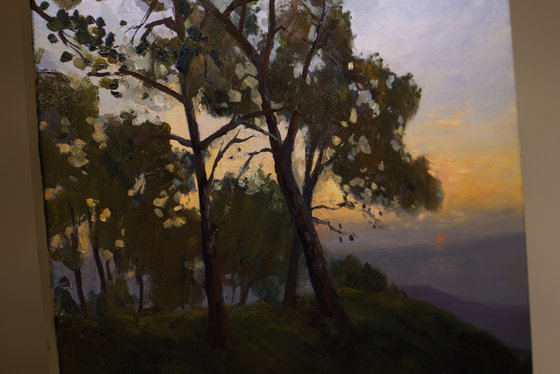 Sunset On Carmel Mountain