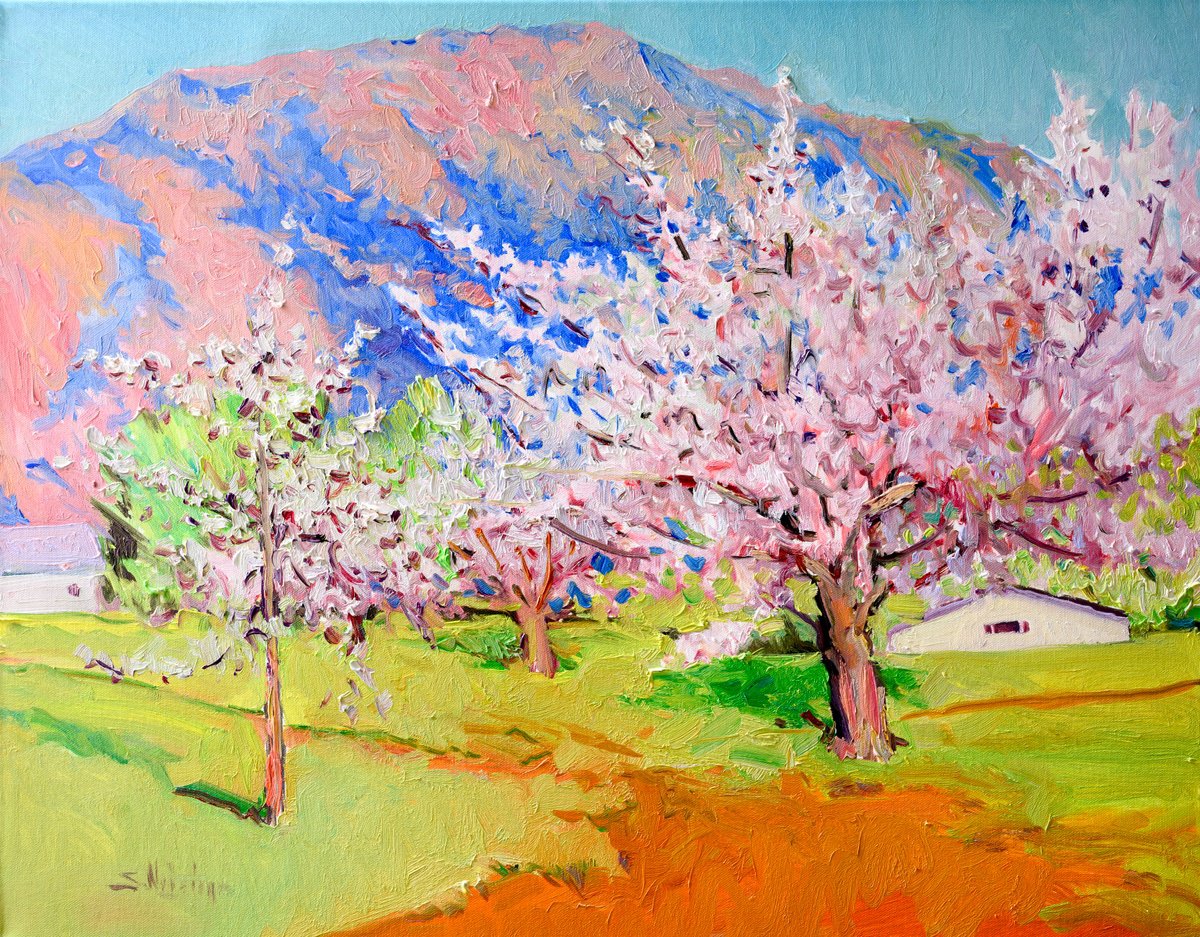 Apricot Trees In The Spring By Suren Nersisyan, 28 X 22, Artwork For Sale On Artfinder