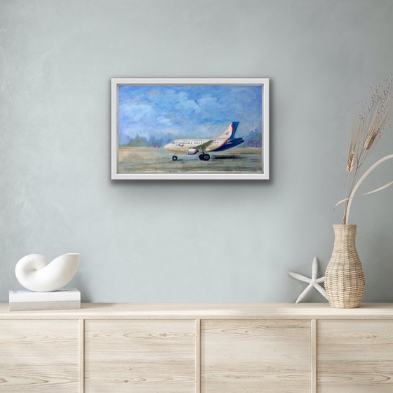 Landscape with the airplane on runway