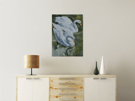 White swans