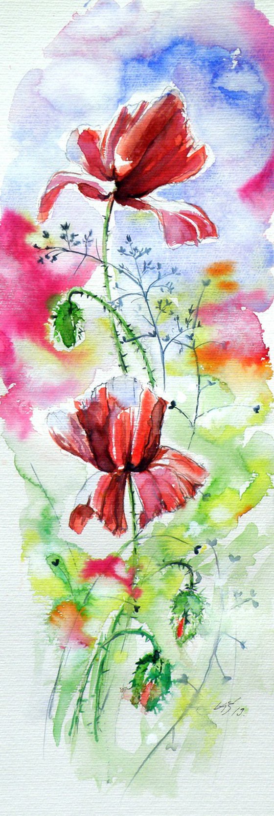 Poppies of summer IV