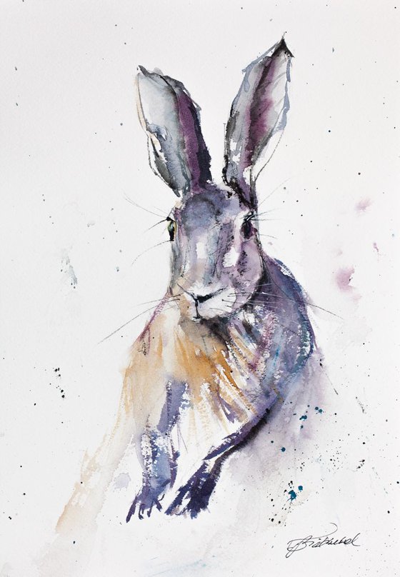 Wild Hare