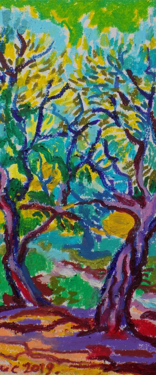 Olive grove No 10 by Maja Grecic