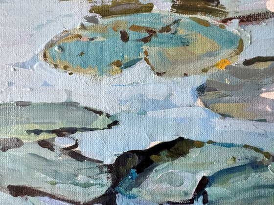Waterlilies