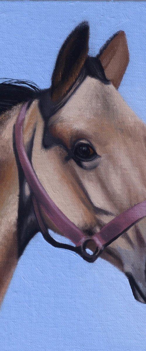 Horse portrait 37 by Anastasia Parfilo