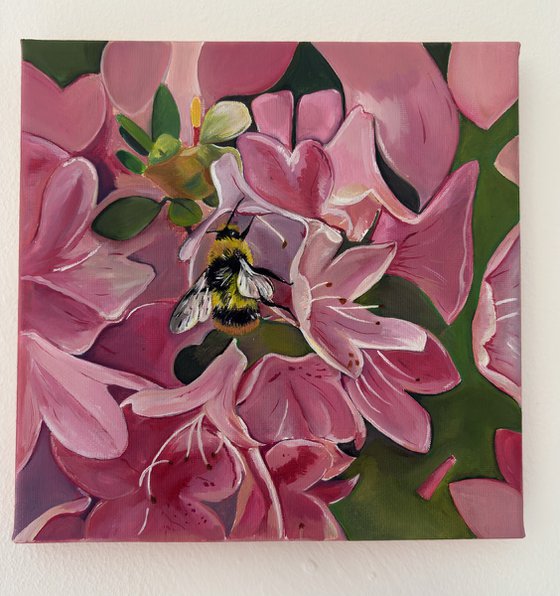 Bee on pink flower