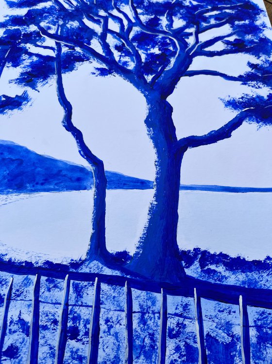 Palombaggia ultramarine