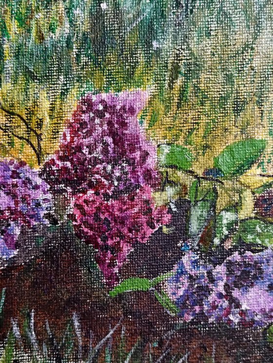 Lilac garden