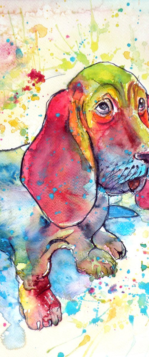 Cute basset hound by Kovács Anna Brigitta