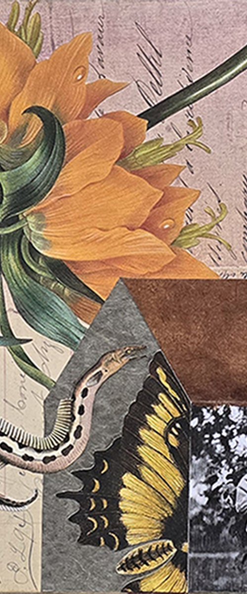 Fritillaria Elver by Susan Savory