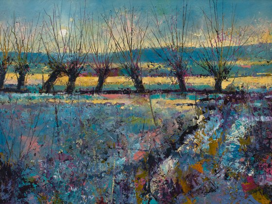 Winter Willows
