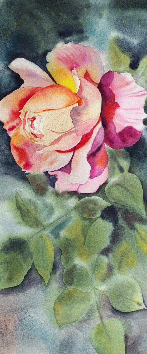 Romantic rose by Delnara El