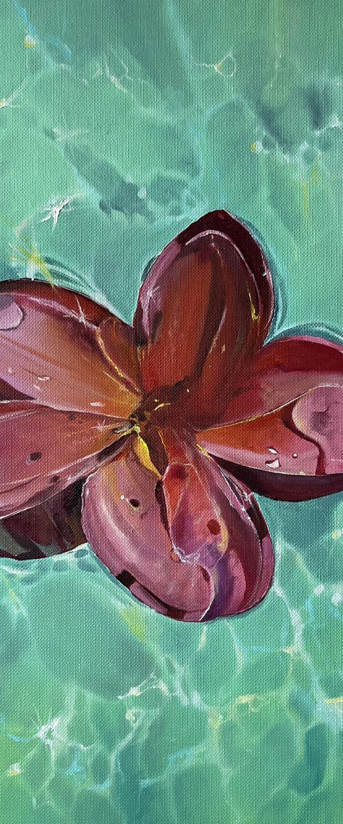 Hibiscus Turquoise Water by Myroslava Denysyuk