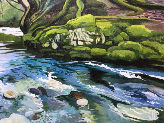 Mossy Banks And Cool Waters