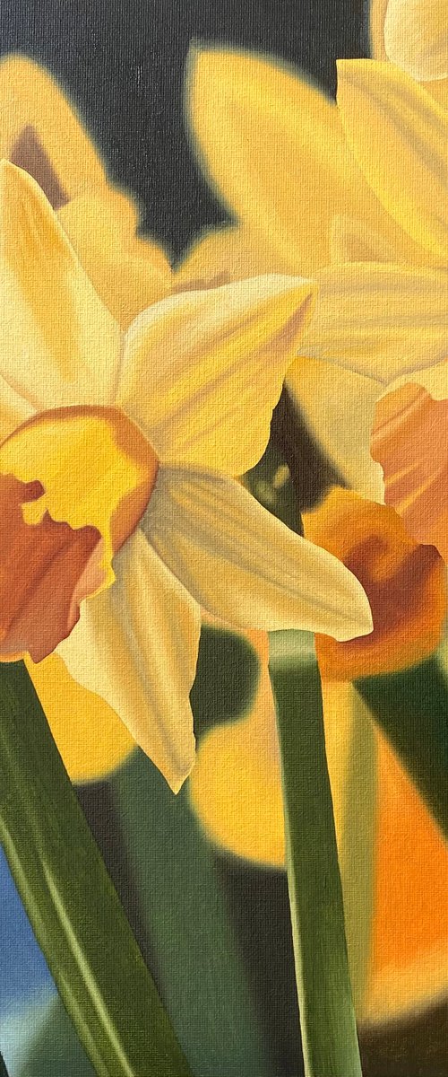 Daffodils by Jill Ann Harper