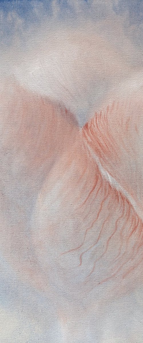 Soft Blue Sky Abstract|Organic Forms V by Elena Kurochko
