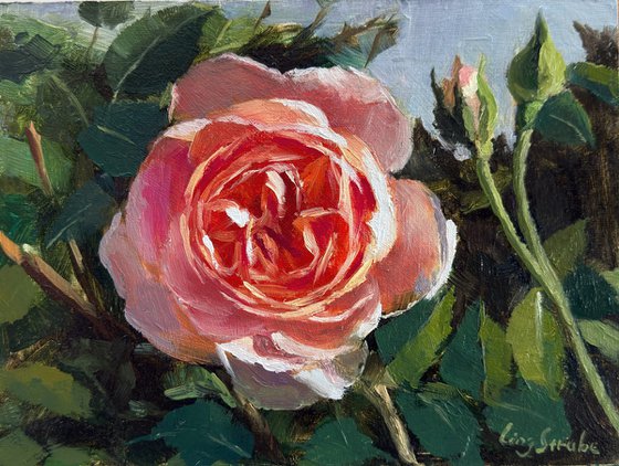 Radiant Bloom