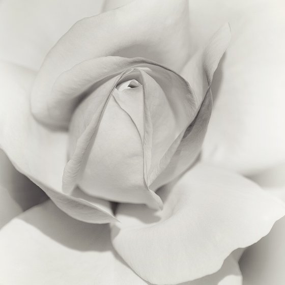 Layers of Beauty - studio edition