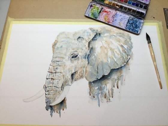 Elephant portrait