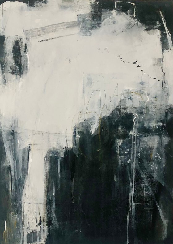 Sailing with the shadow