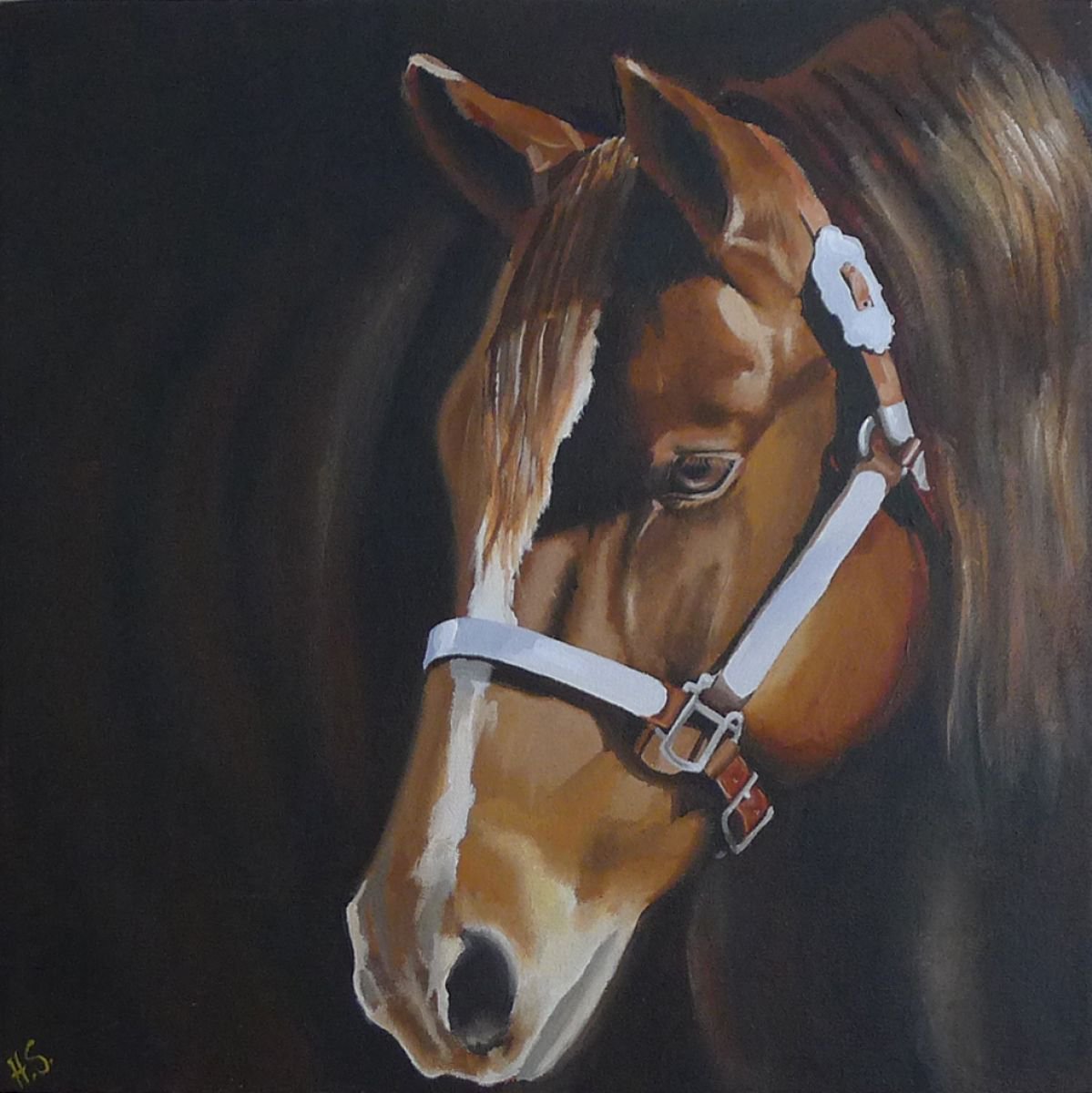 Chestnut Horse by Helen Sinfield