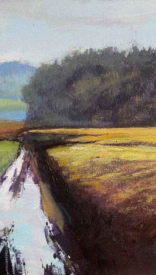 The Lincolnshire Wolds I by Simon Jones