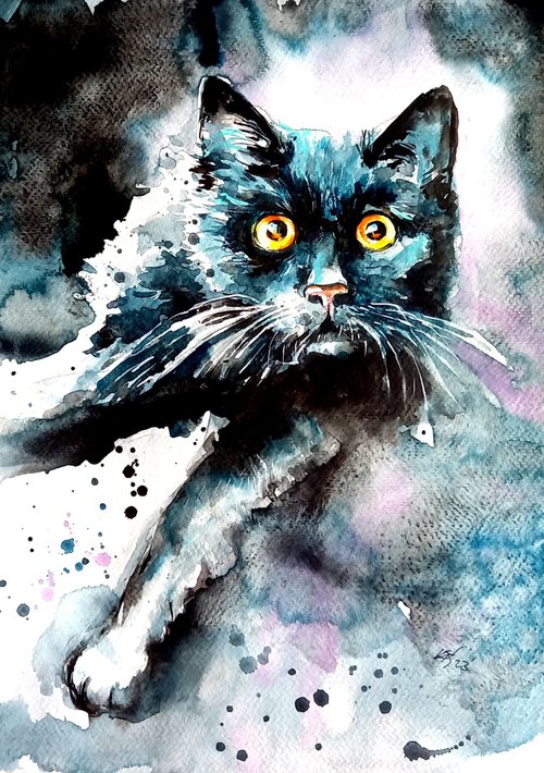 Black cat by Kovács Anna Brigitta