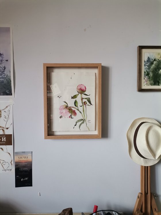 Peonies #1