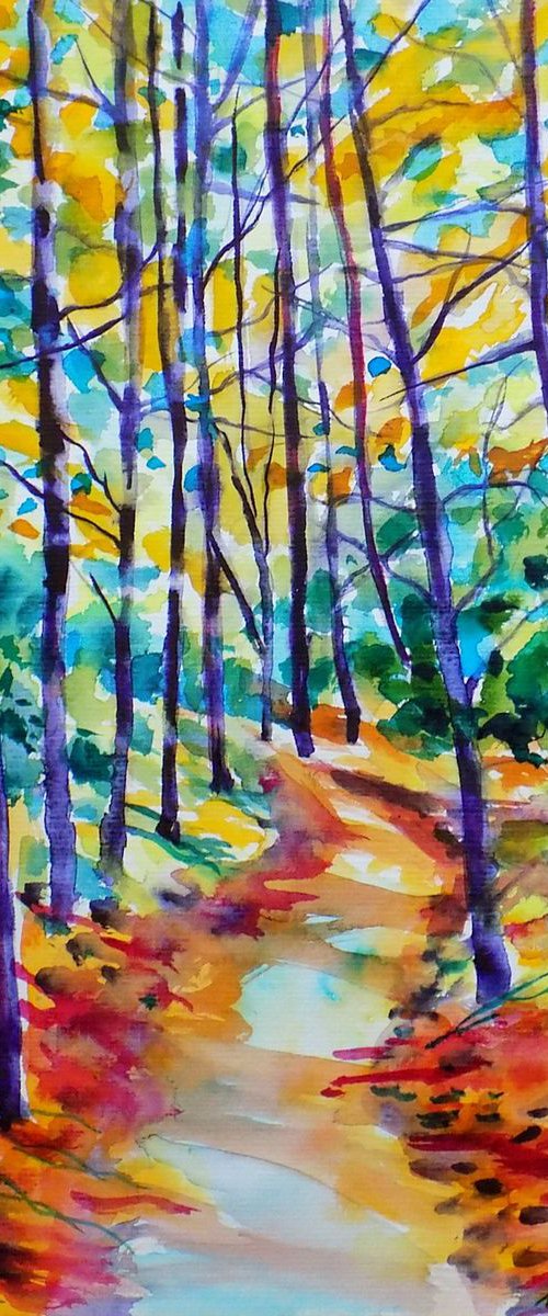Forest path V by Maja Grecic