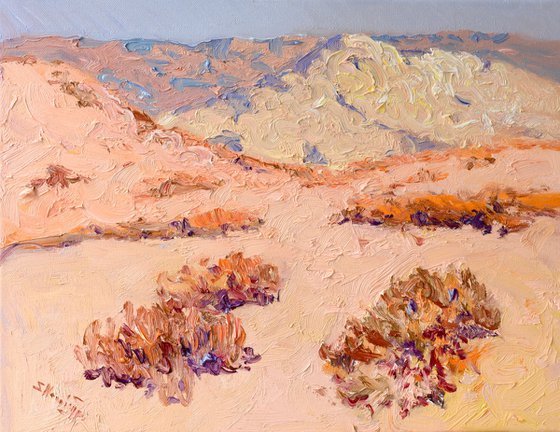 Sunny Midday. Desert