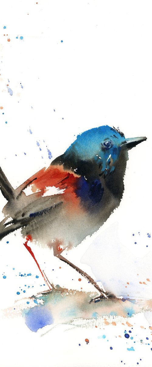 Fairy Wren Bird by Sophie Rodionov