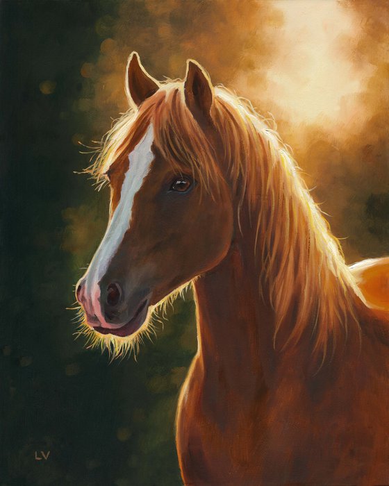 Brown horse portrait at sunset