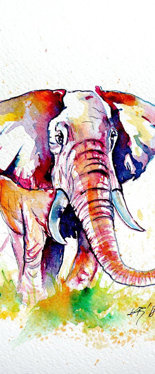 Walk alone - African elephant by Kovács Anna Brigitta