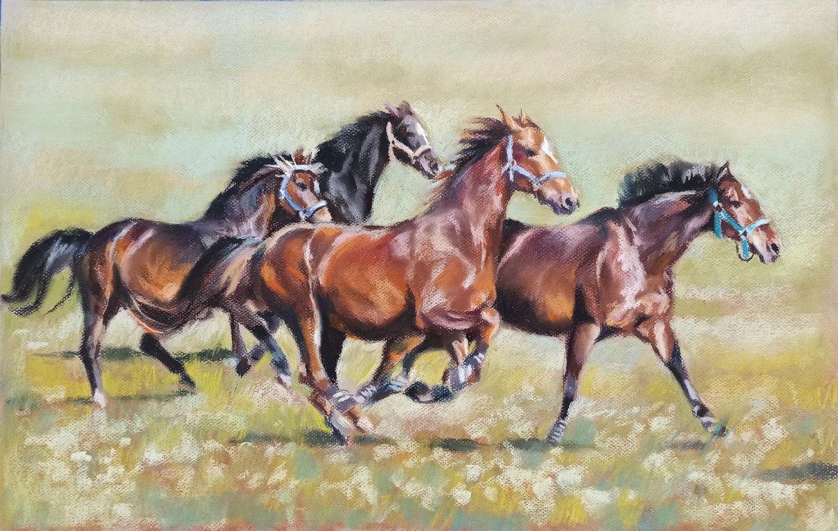 Herd at a gallop by Magdalena Palega