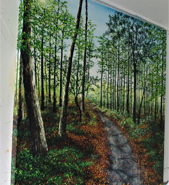 Forest Walk. 100cm X 100cm