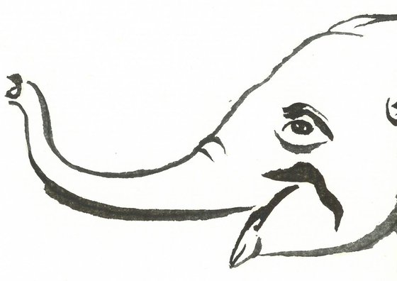 Elephant I Animal Drawing