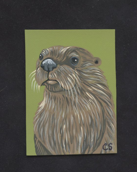 ACEO ATC Original Miniature Painting River Otter Wildlife Art-Carla Smale