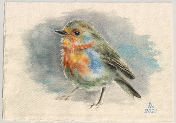 Little Robin