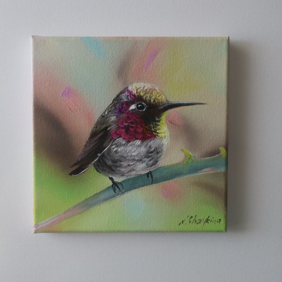 Violet Hummingbird