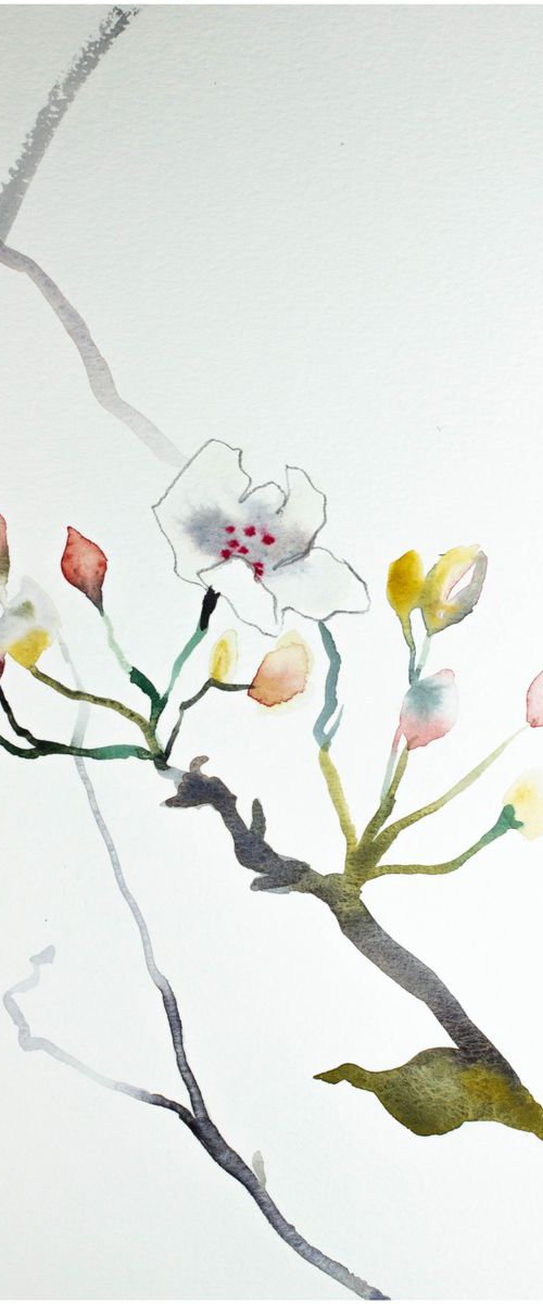 Cherry Blossom No. 6 by Elizabeth Becker
