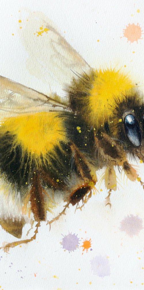 Bumblebee Duo – Diptych of Two Bumblebees by Olga Beliaeva Watercolour
