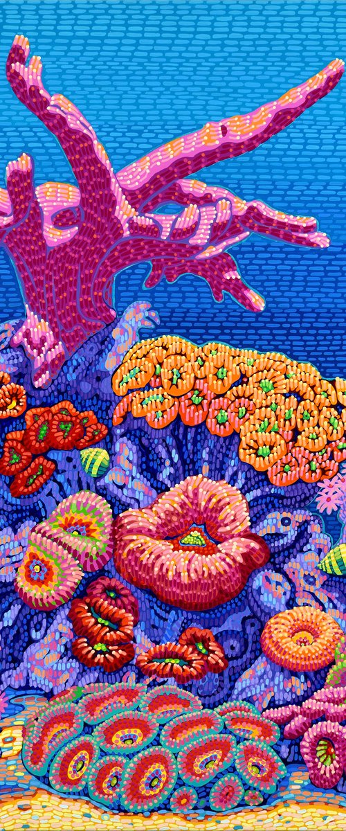 Coral Garden by Alex Nizovsky