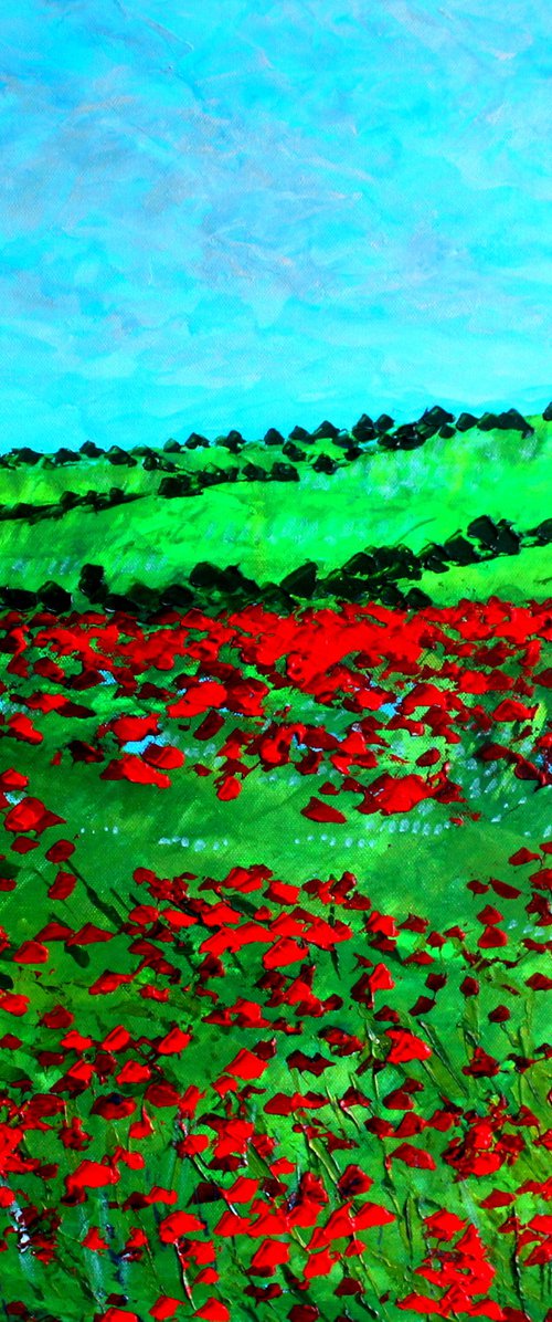 Hampshire Poppy field by Paul J Best