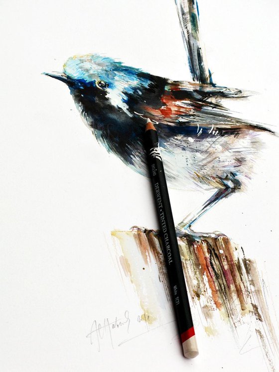 fairy wren A3