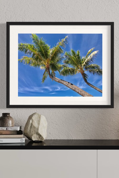 Maui Palms 1.0 by Cutter Cutshaw