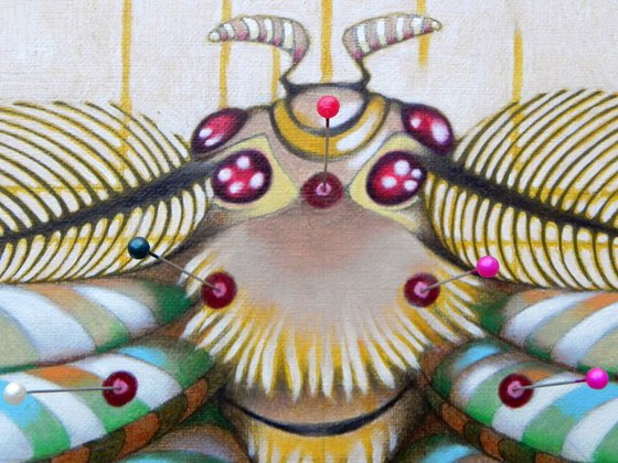 Fibonacci moth