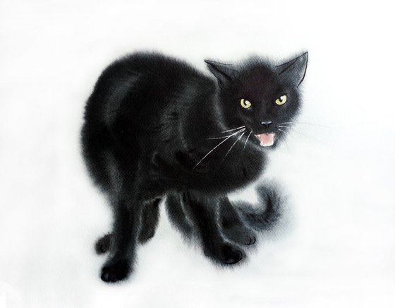 Hissing Black Cat
