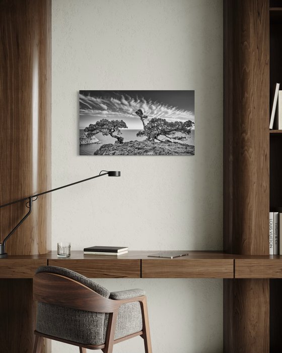 Guardians of the Cliff