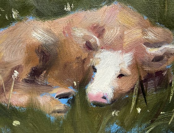 Meadow Nap
