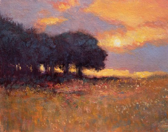 Sunset Oak Trees Plein Air